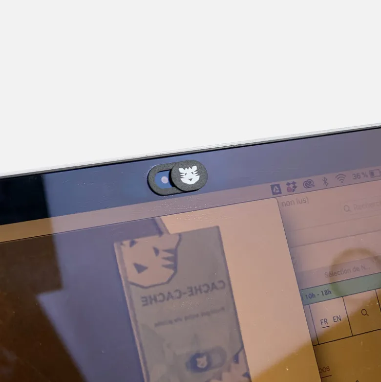 Cache Webcam
