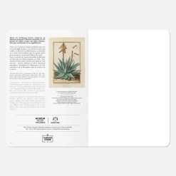 Carnet A5 - Aloe
