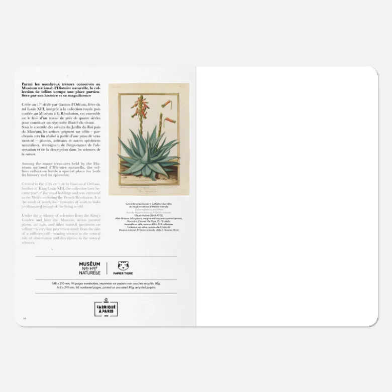 Carnet A5 - Aloe