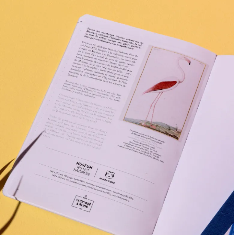 Carnet A5 - Flamingo