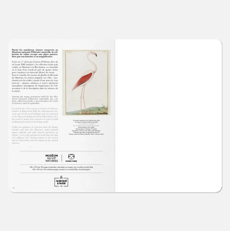 Carnet A5 - Flamingo