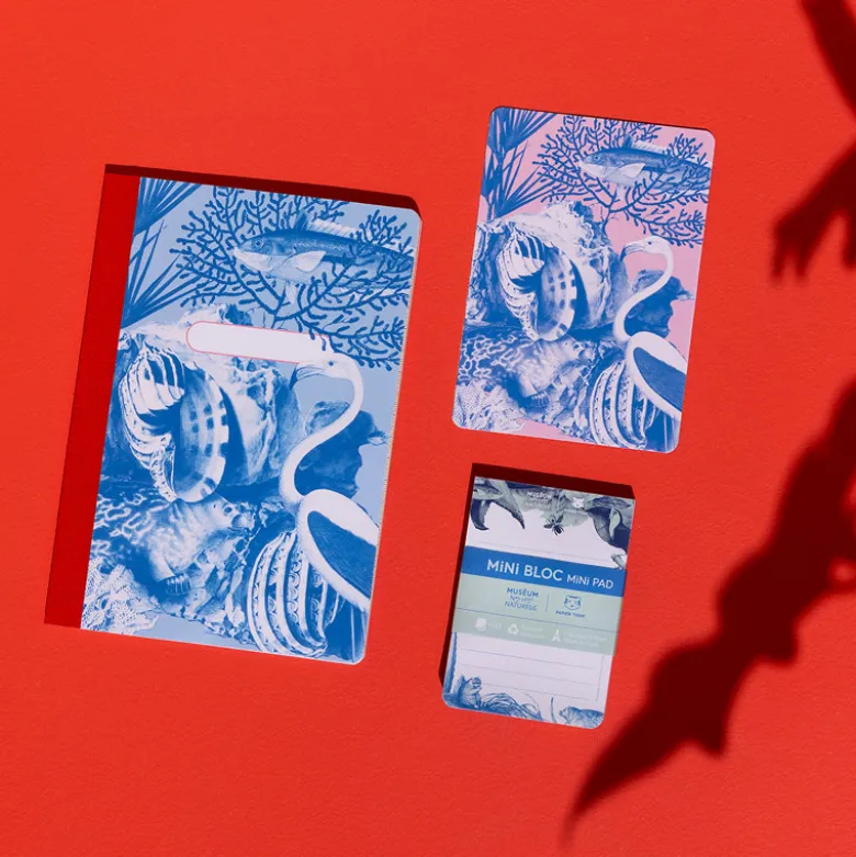 Carnet A5 - Flamingo