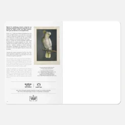 Carnet A5 - Perroquet