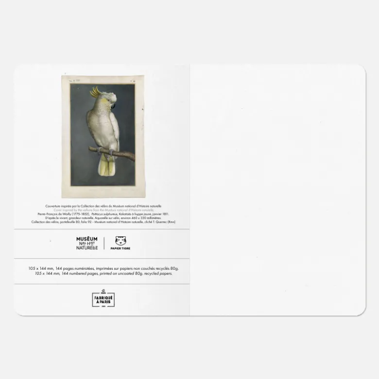 Carnet A6 - Perroquet