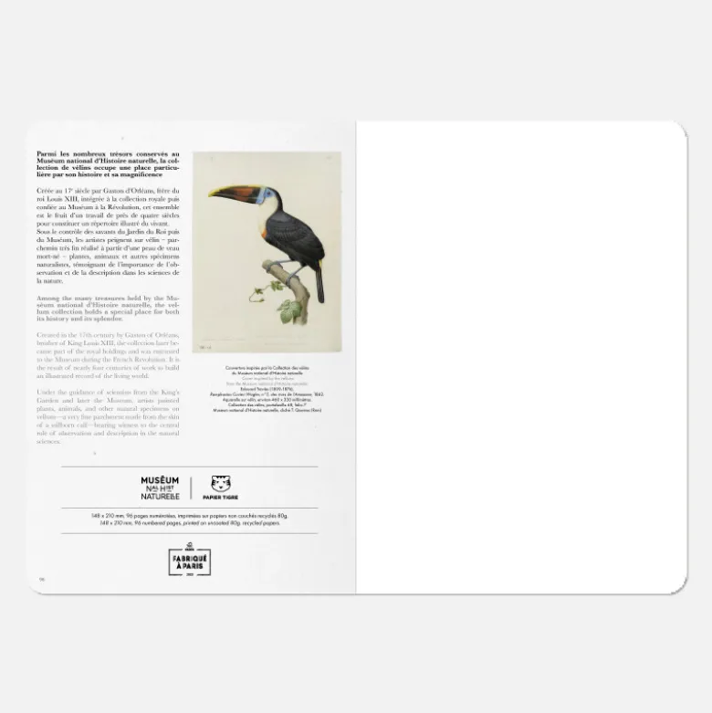 Carnet A5 - Toucan