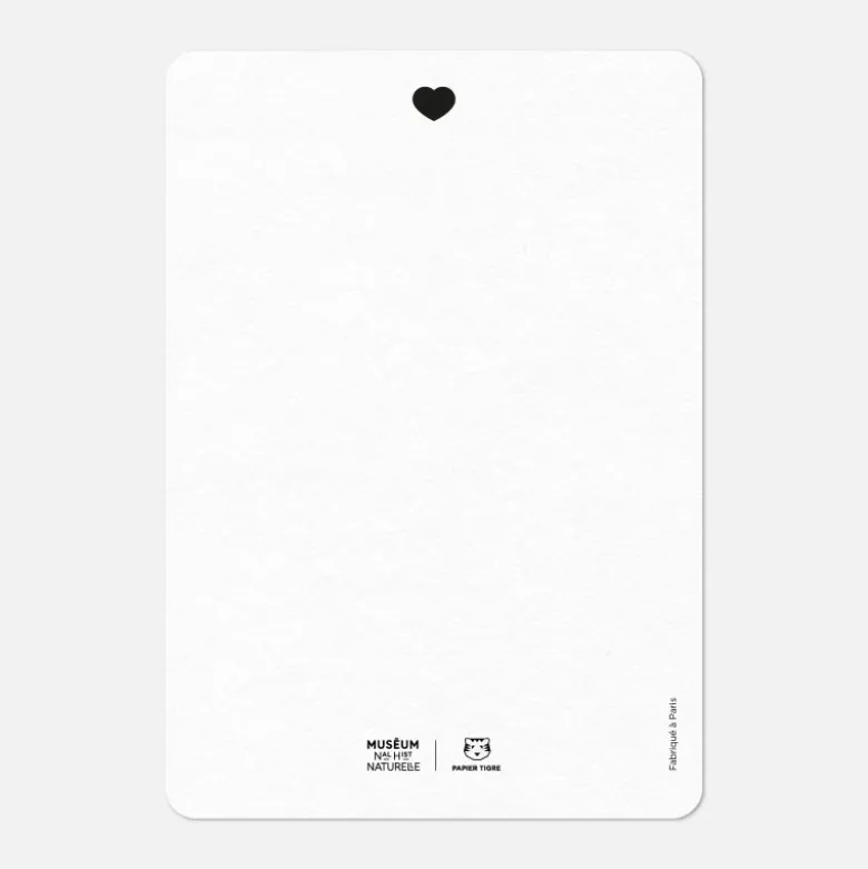 Carte A6 - Bisou Aloe