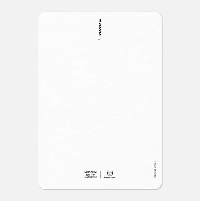 Carte A6 - Happy Birthday Toucan