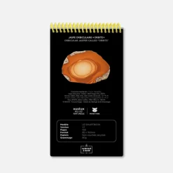 Le Smartbook - Orbe